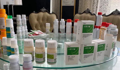 专业方案,更优选择 河南瀚斯夏季除草剂产品技术培训会山东曹县专场圆满召开